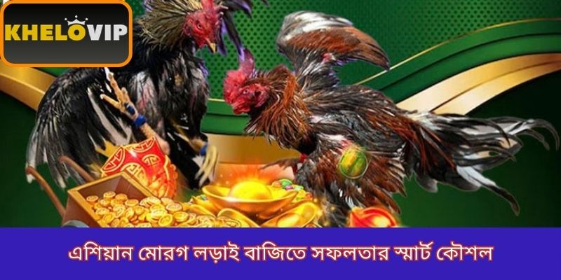 এশিয়ান মোরগ লড়াই বাজিতে সফলতার স্মার্ট কৌশল